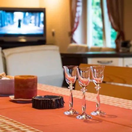 Holiday Delnice/gorski Kotar 38095 *