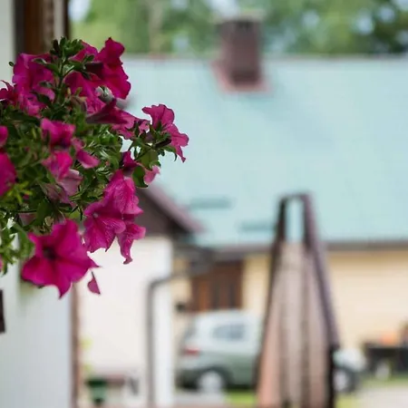 Holiday Delnice/gorski Kotar 38095 * Delnice