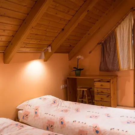 Ferienhaus Holiday Delnice/gorski Kotar 38095 *